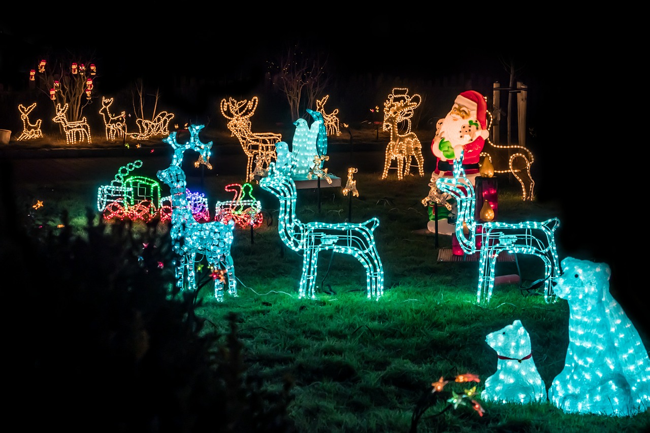 Dallas zoo lights- Texas Shuttle