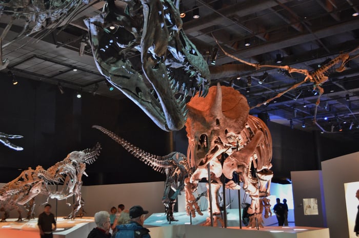 Fossil_Exhibits_at_Morian_Hall_of_Paleontology_at_the_Houston_Museum_of_Natural_Science