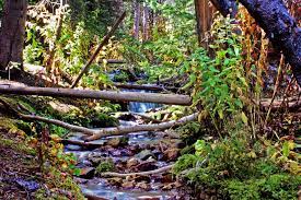 Go Hiking In Austin And Get Closer To Nature