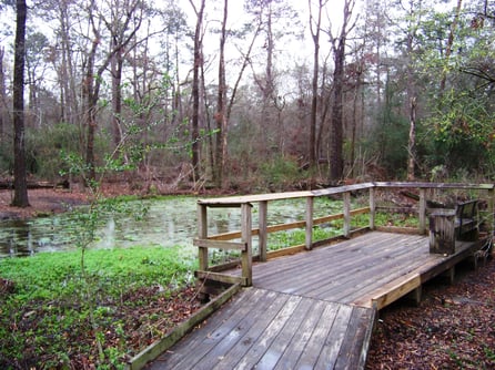 Houston_Arboretum_and_Nature_Center_-_panoramio_-_Idawriter_(1)