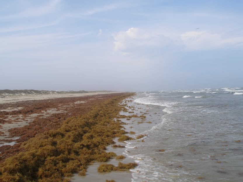 Discovering San Antonio' Best Beaches With Texas Shuttle
