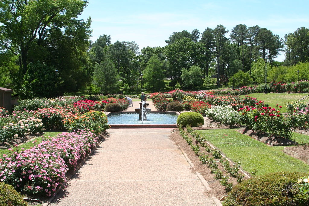 Stroll Amidst Tyler’s Beautiful Garden With Texas Shuttle