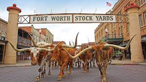 Things To Do In Fort Worth With Texas Shuttle
