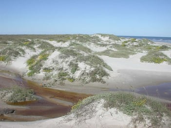 scenery-of-padre-island-national-seashore-3644c7-1024